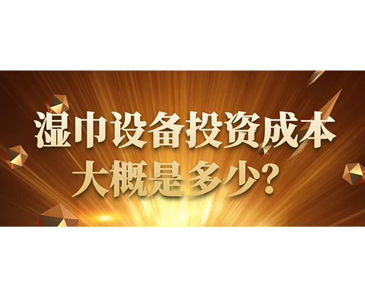 濕巾設(shè)備投資成本大概是多少？