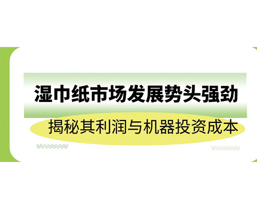 濕巾紙市場發(fā)展勢頭強(qiáng)勁，揭秘其利潤與機(jī)器投資成本