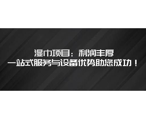 濕巾項(xiàng)目：利潤(rùn)豐厚，一站式服務(wù)與設(shè)備優(yōu)勢(shì)助您成功！
